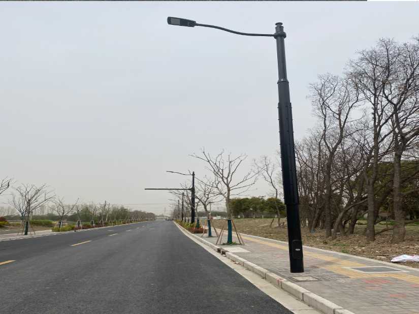 宁阳县上海综合杆 太阳能路灯工程